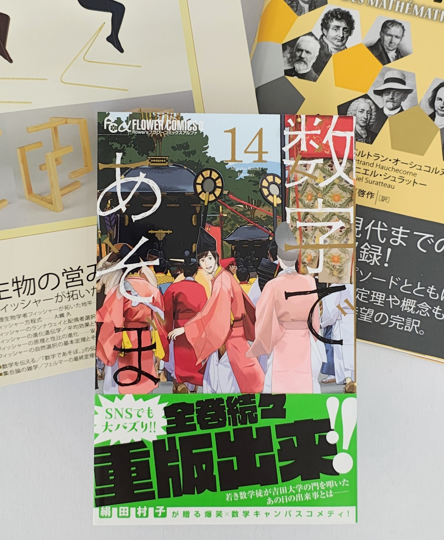 小学館月刊フラワーズ『数字であそぼ。』1〜10・13・14巻（12冊）まとめ売り 小学館月刊フラワーズ『数字であそぼ。』1〜10・13・14巻（12冊