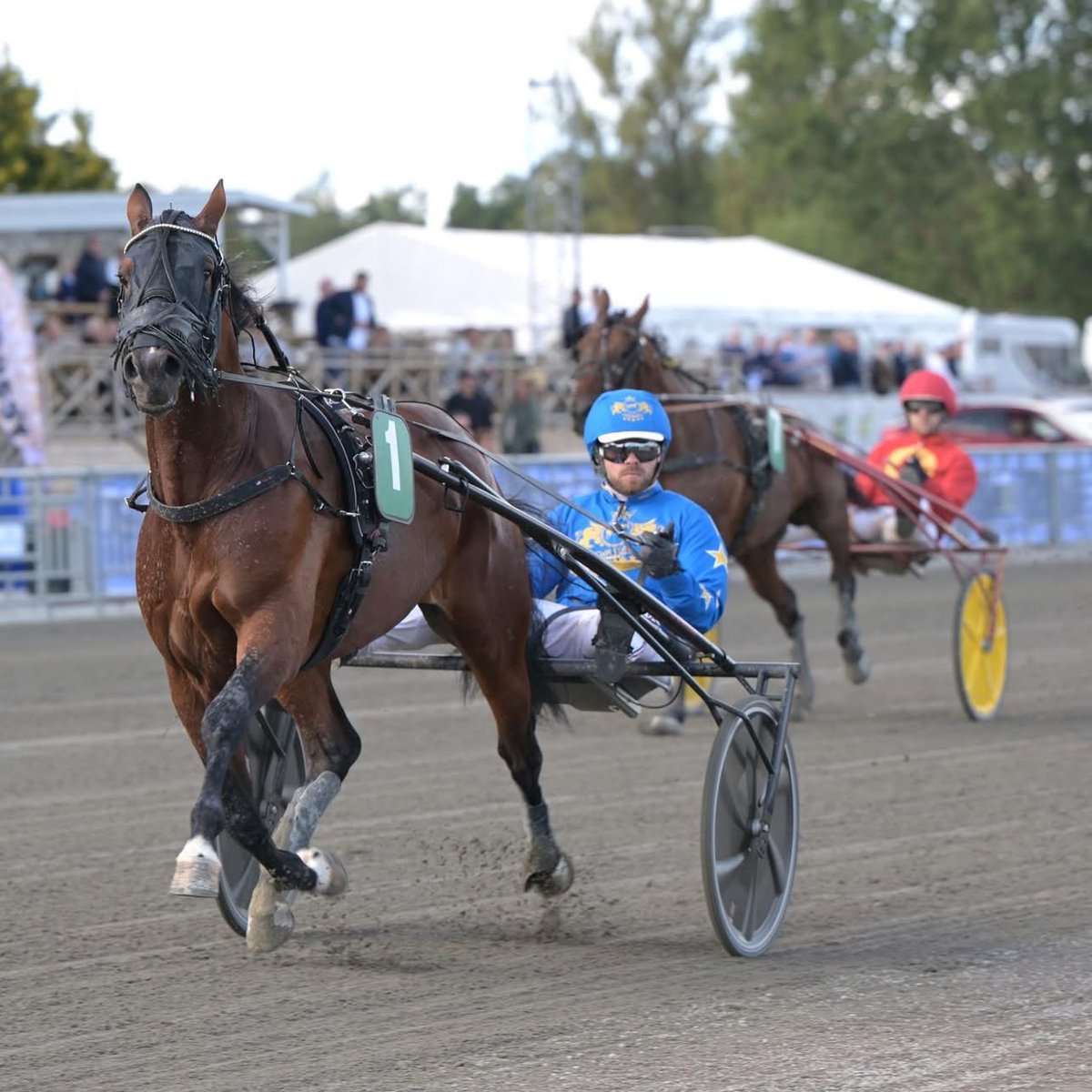 Tom på ord, full av känslor ❤️
Ejnar Face 👑