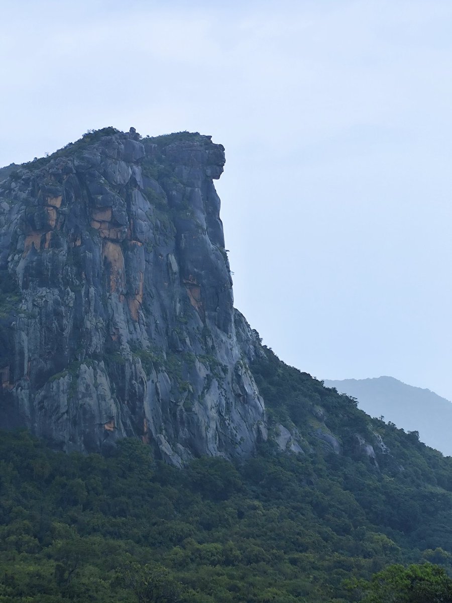 Jérôme Lesuisse (@jerome_lesuisse) on Twitter photo Petit passage à Mali 🇬🇳 cette semaine, avec :
- la chute de Tantou
- la Dame de Mali
dans le brouillard, la pluie et le froid 🥶 Petit passage à Mali 🇬🇳 cette semaine, avec :
- la chute de Tantou
- la Dame de Mali
dans le brouillard, la pluie et le froid 🥶