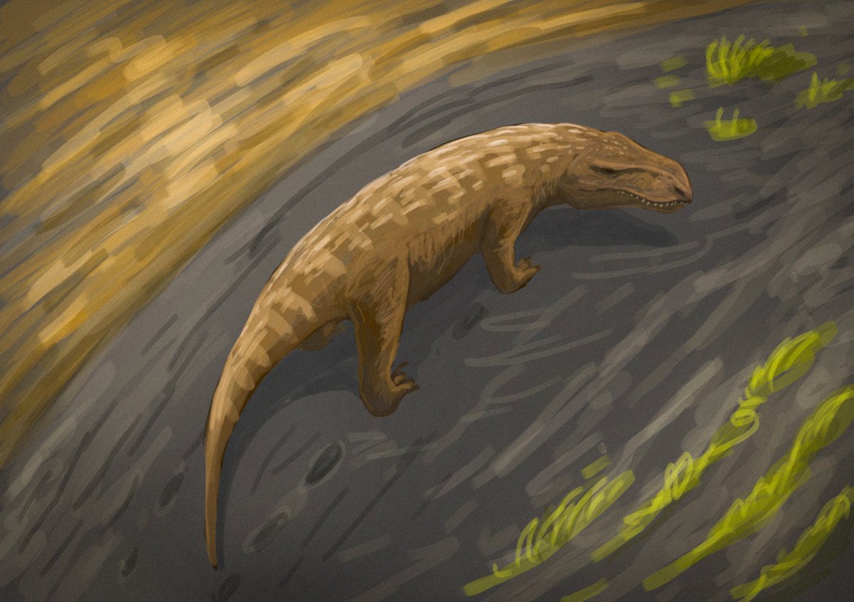 Gandhi Drawing (@gandhidra57995) on Twitter photo My sketches for #paleostream of <a href="/JoschuaKnuppe/">Joschua Knüppe</a> 20 minutes each one
1 - Carcharodontosaurus
2 - Austroraptor
3 - Dreadnoughtus
4 - Razanandrongobe My sketches for #paleostream of <a href="/JoschuaKnuppe/">Joschua Knüppe</a> 20 minutes each one
1 - Carcharodontosaurus
2 - Austroraptor
3 - Dreadnoughtus
4 - Razanandrongobe