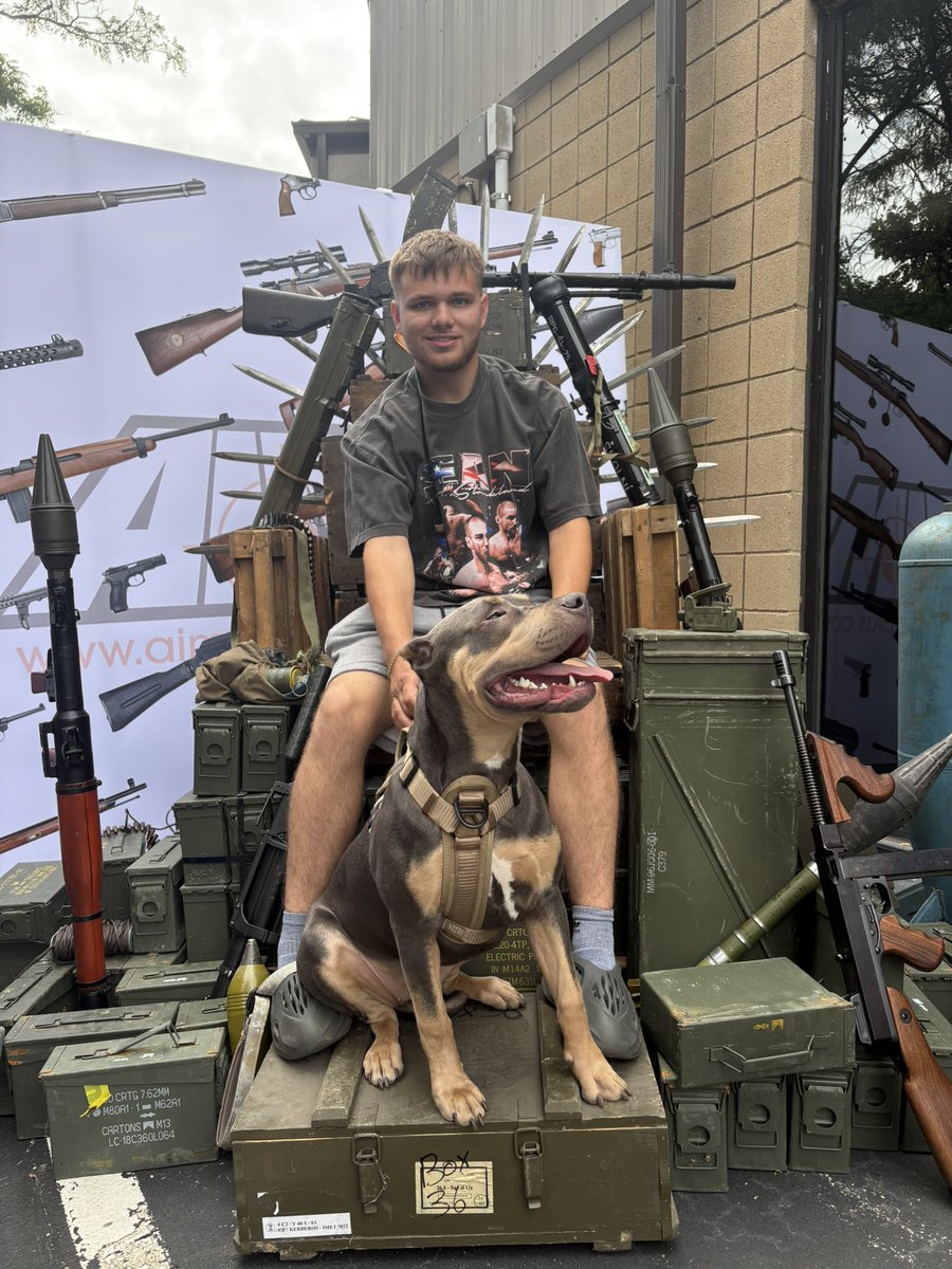 Louis Auckerman tweet media