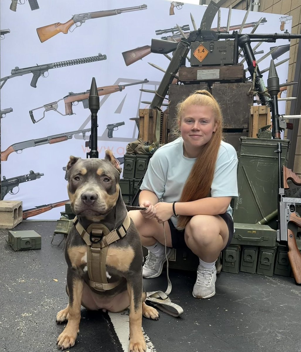 Louis Auckerman tweet media