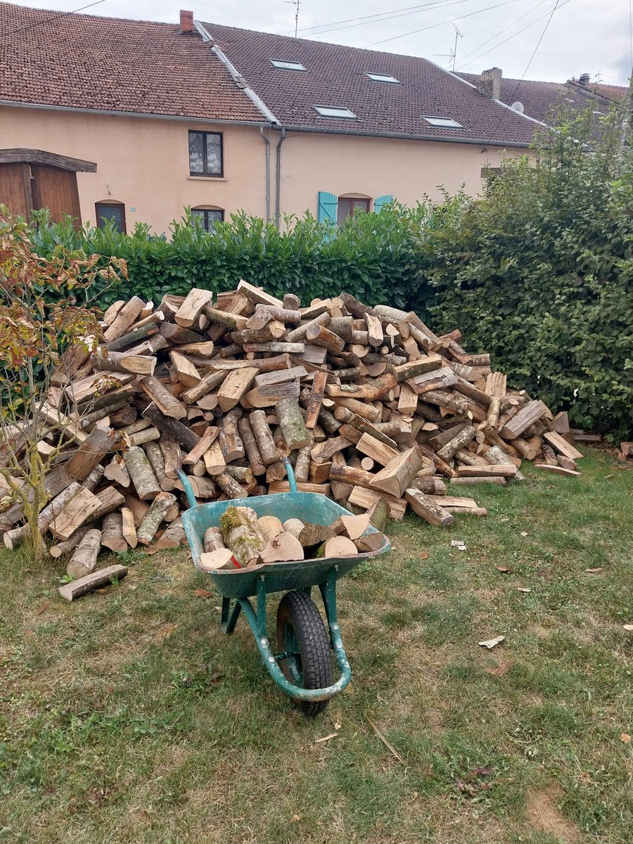 En prévision de l'hiver 💪🪓#bois