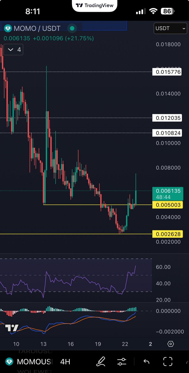 $MOMO GANG… we still here