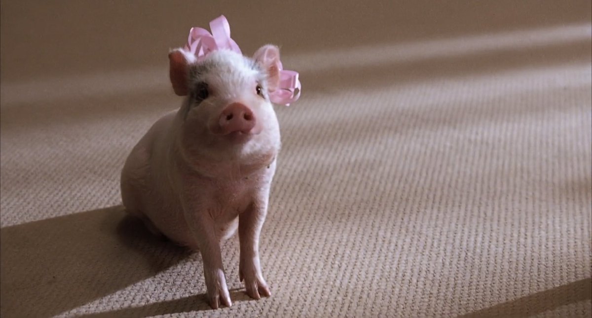 artdently's tweet image. uptown girls (2003)