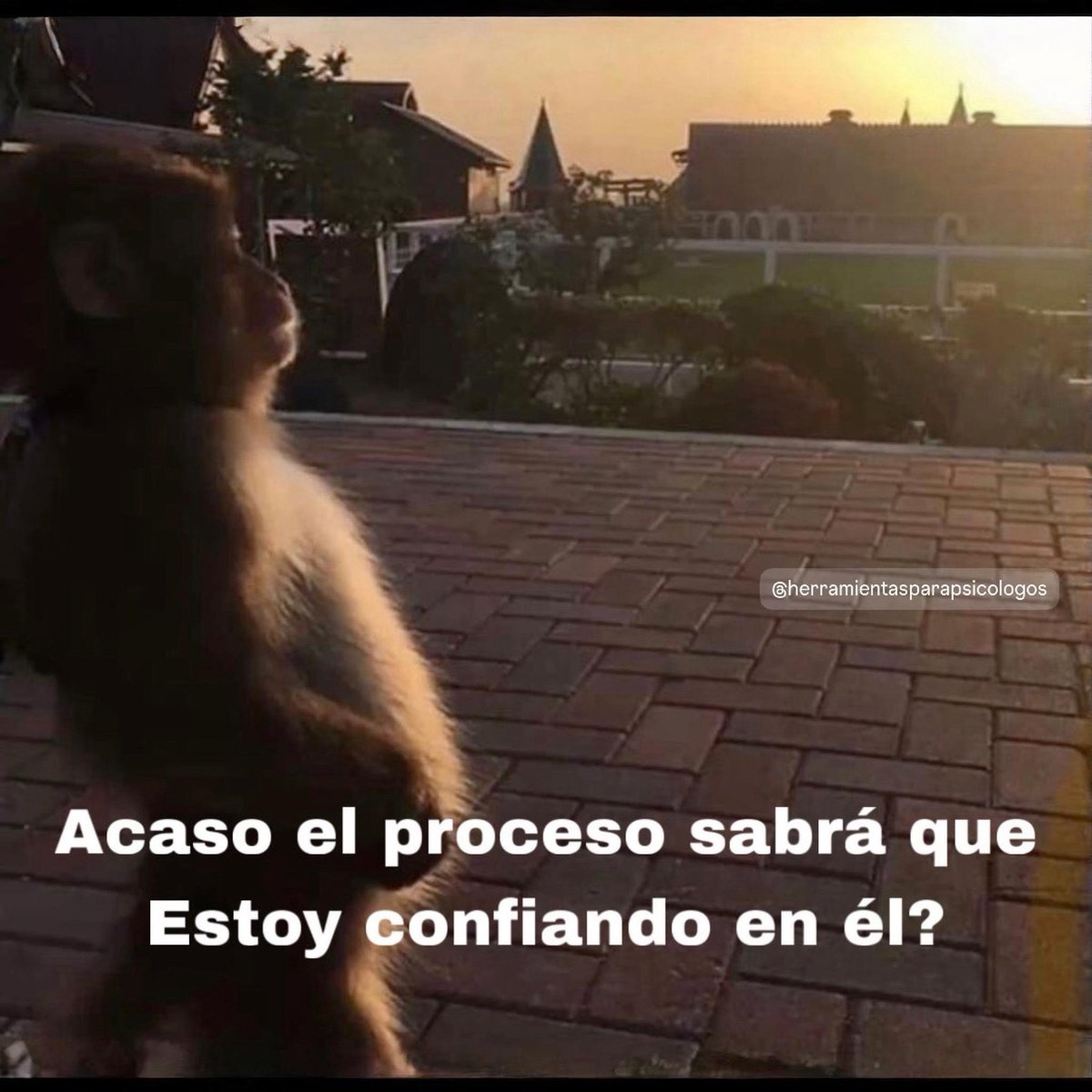 Psic. Diego Vidal tweet media