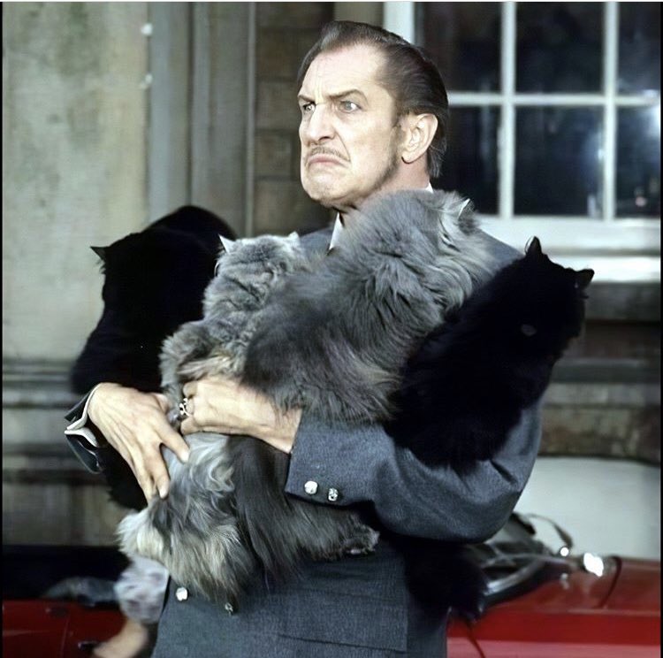 Vincent Price hugging some cats #Caturday