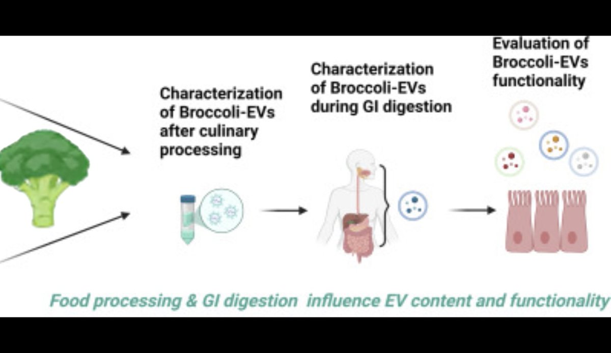 Food&Health CEBAS-CSIC (@food_health_lab) on Twitter photo 🌟 New publication alert!
👉 Read here: sciencedirect.com/science/articl…
This work was led by <a href="/Imdeanutricion/">IMDEA Nutrición</a>. A great step forward in understanding how food bioactives behave after cooking and digestion! 🥦 🌟 New publication alert!
👉 Read here: sciencedirect.com/science/articl…
This work was led by <a href="/Imdeanutricion/">IMDEA Nutrición</a>. A great step forward in understanding how food bioactives behave after cooking and digestion! 🥦