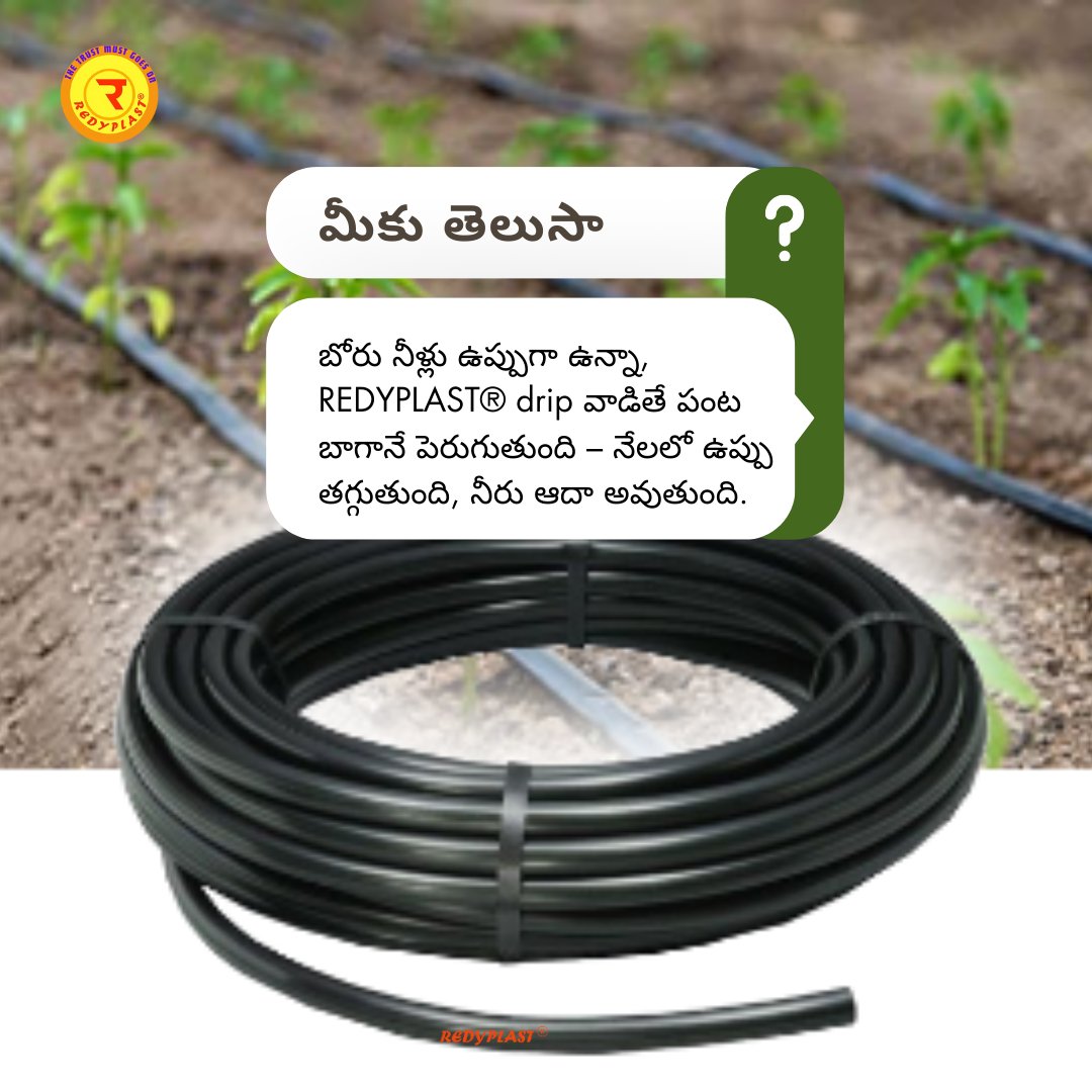 Redyplast's tweet image. బోరు నీళ్లు ఉప్పుగా ఉన్నా కూడా పంటలపై ప్రభావం పడకుండా చేసుకోవచ్చు!
🌱 REDYPLAST® Drip Irrigation తో పంటలు ఆరోగ్యంగా పెరుగుతాయి.
#redyplast #dripsystem #watersmart #sustainablefarming #farmers #irrigationsolutions #farmersupport #waterwise #telanganafarming #andhrafarmers #boost
