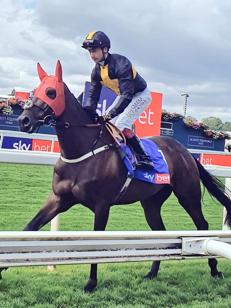 RacingBlade's tweet image. Mount Atlas &amp;amp; @oismurphy on way to the start @yorkracecourse #AndrewBalding