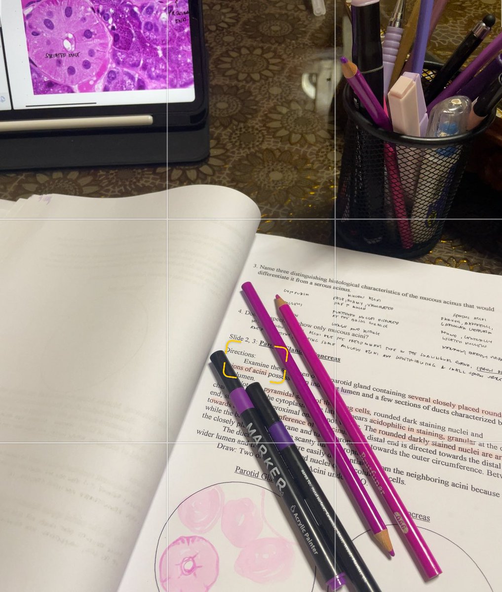 🩺⌞ 08-23-25 ⌝

⤷ histology lab manual talaga ang tatapos sa’kin UMAYYYYYY

⋆˚ #studylog #studytwt #medtwt  ˚⋆