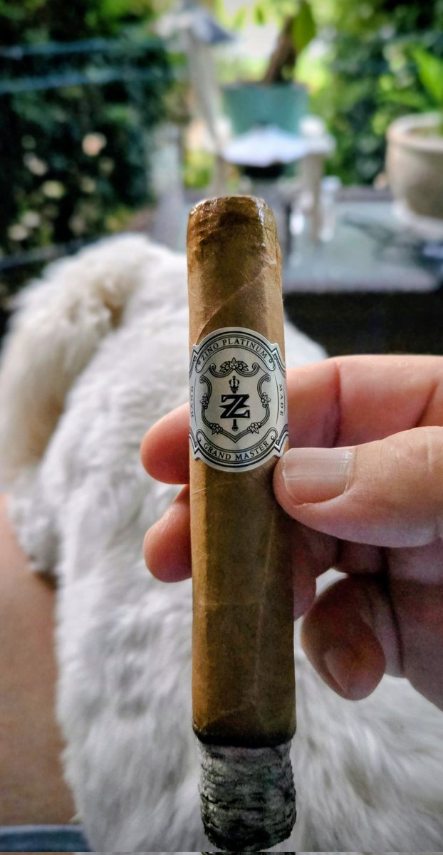Zino Platinum Grand Master 

😤💨☕⚽⚾
#Cigars
#NowSmoking
#Cigar
#Cigardian
#BOTL