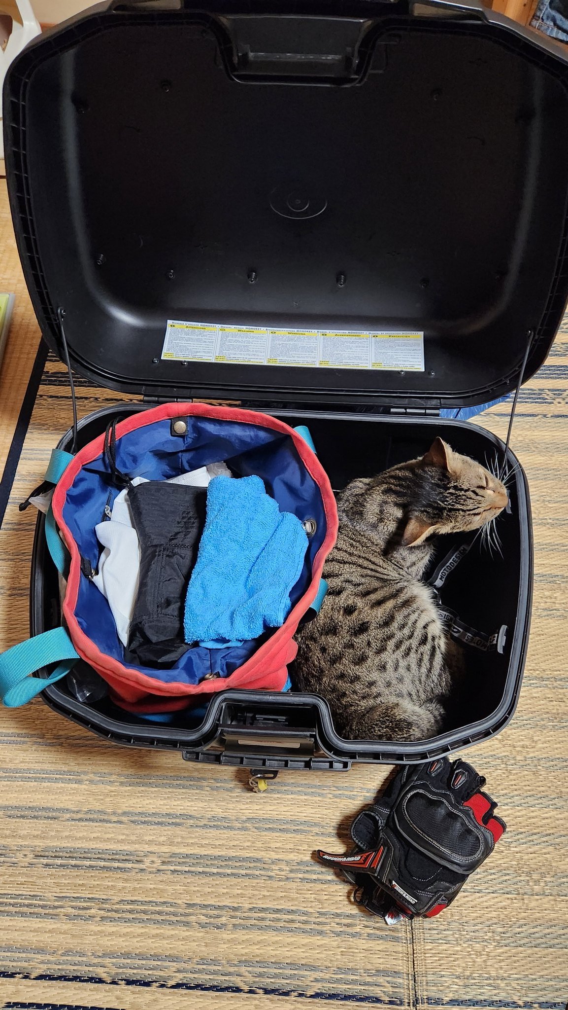 グッさん ぐっさん🏍️ (@Gussan_moto) / X