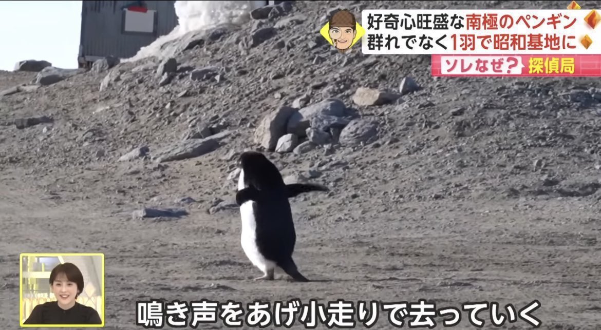Varrel戦でサイドの俺がこうなる可能性大
