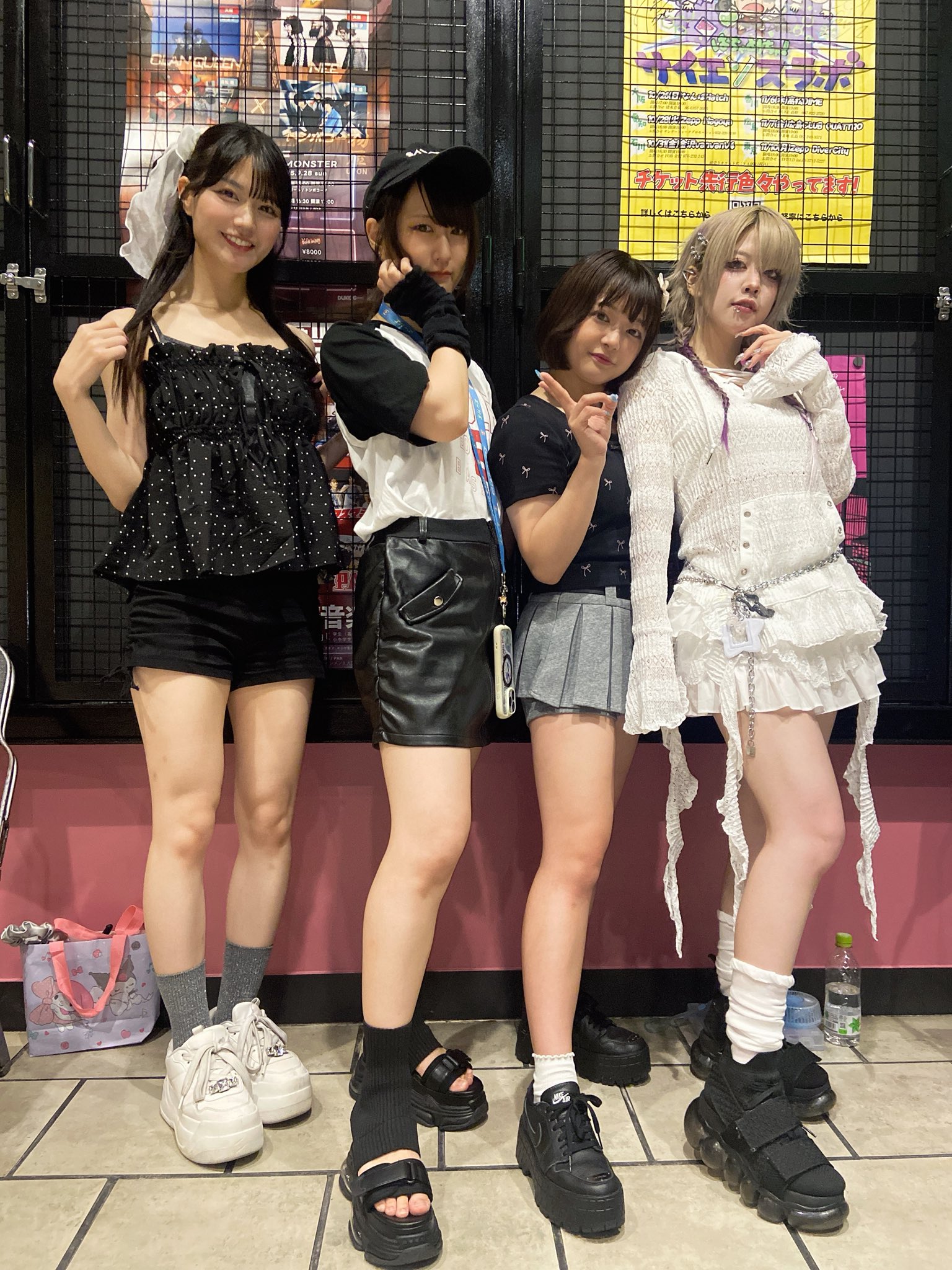 元気なペプシ‼️ STRAY CATS 生写真6枚　in 新宿ツバキハウス‼️ Sapporo City Stray Cat] Pregnant while raising a cat