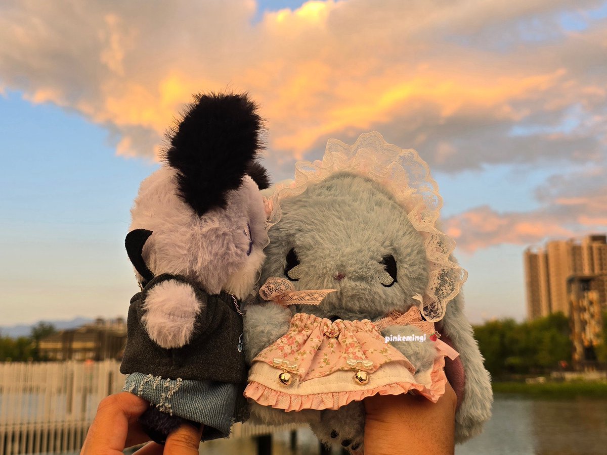 pinkemingi's tweet image. sunset with you &amp;lt;3 🦊🐰
#foxde #tyonen