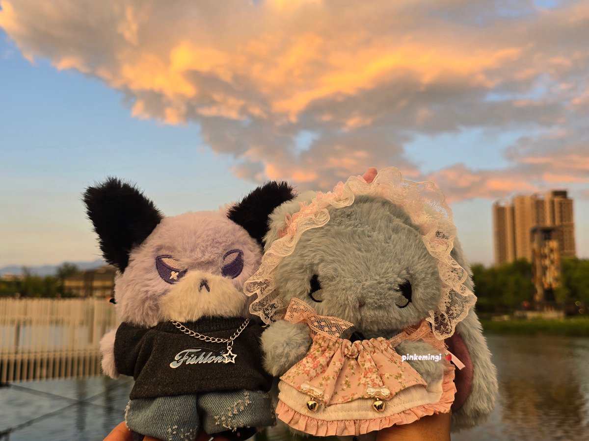 pinkemingi's tweet image. sunset with you &amp;lt;3 🦊🐰
#foxde #tyonen