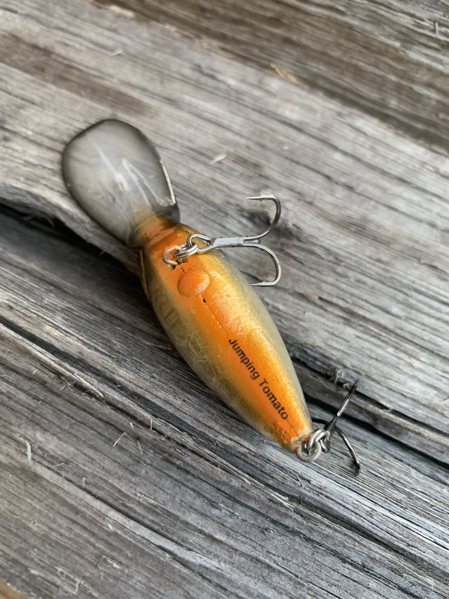 むらネズミ (@koubass46) / X