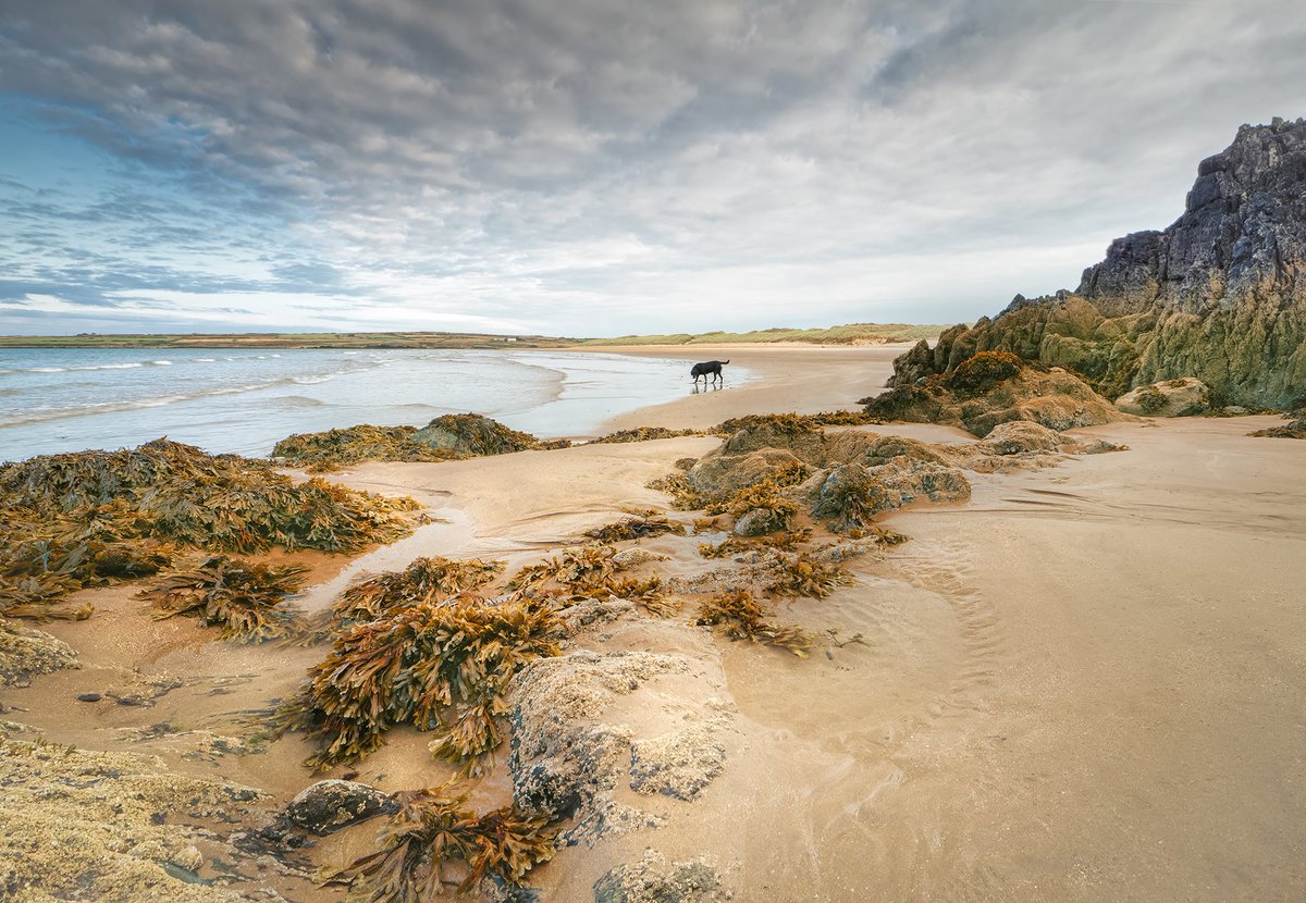 A nice morning for mucking about on the beach. Aberffraw, #Anglesey 😊👍
