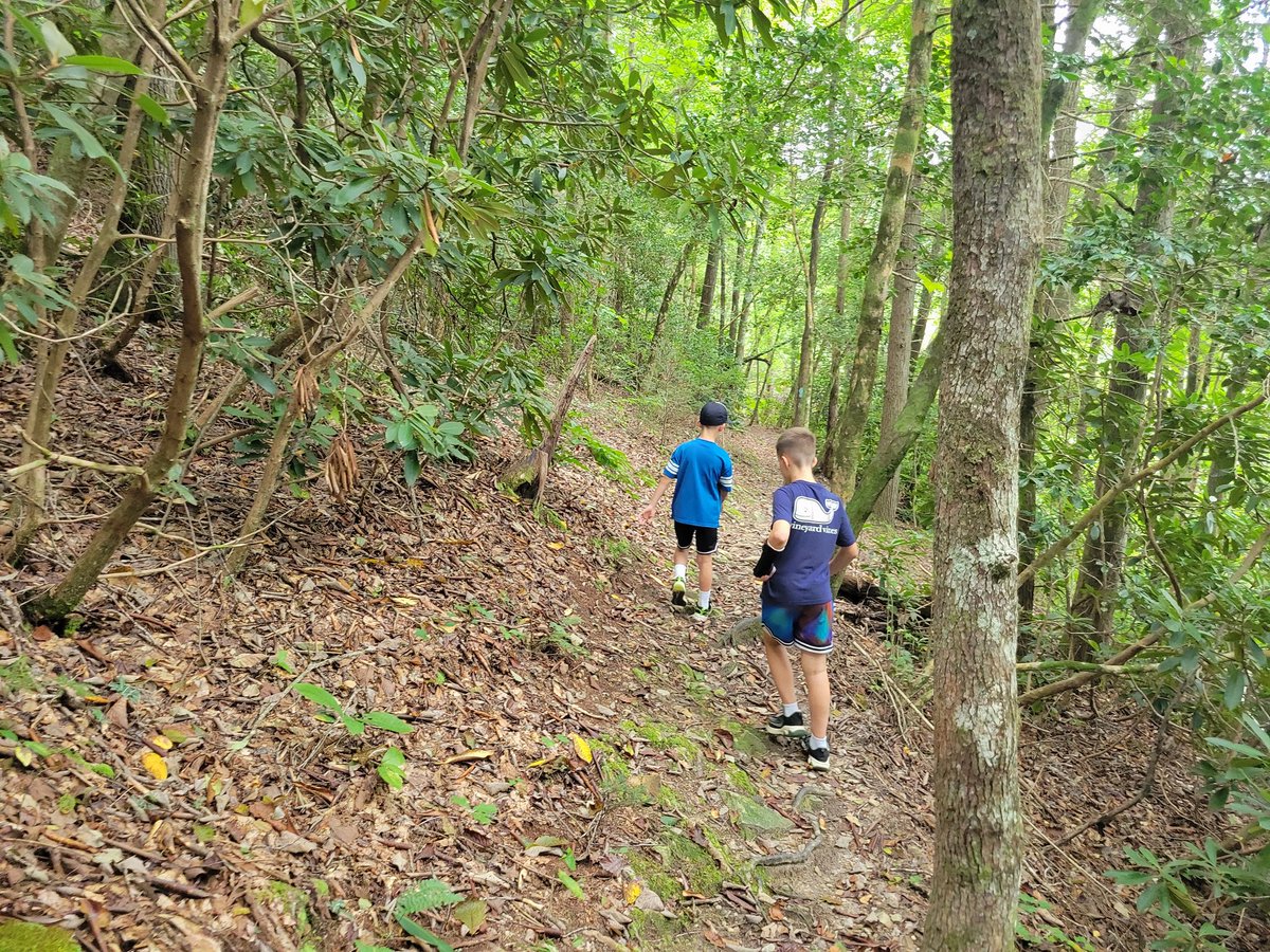 One Bearded Golfer tweet media