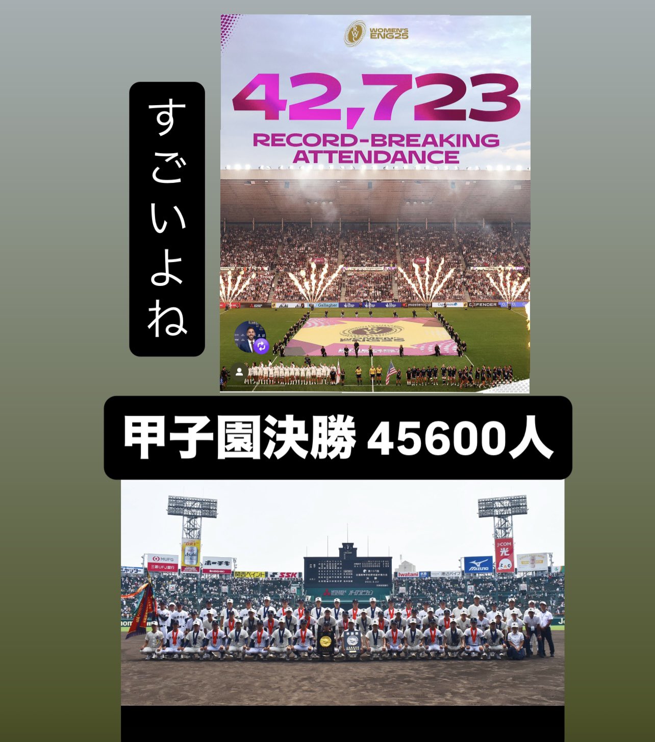 甲子園来賓胸章 甲子園来賓胸章
