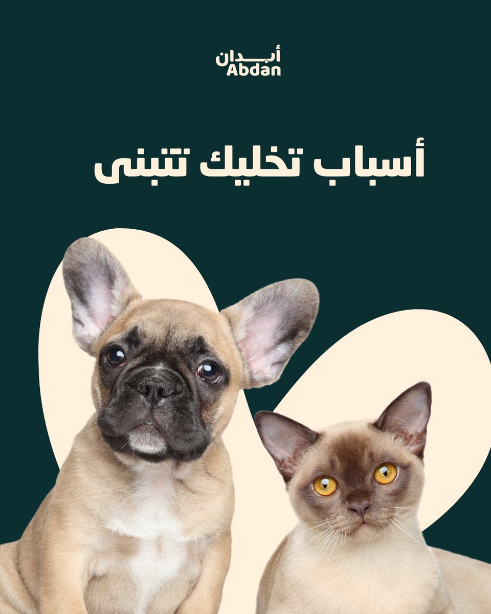 أبــدان tweet media