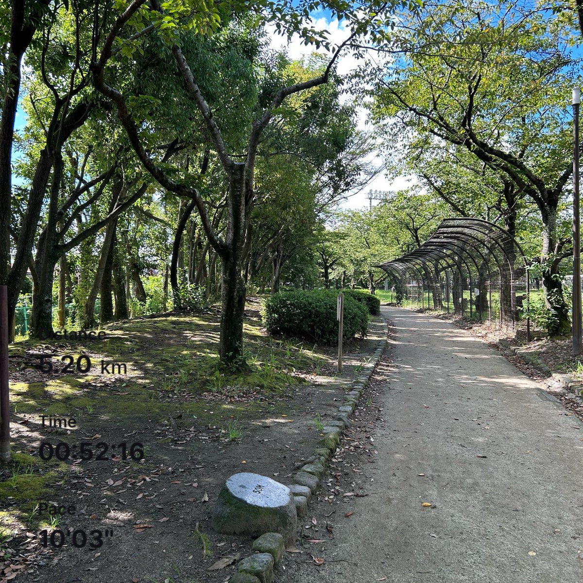 今朝は52分歩いて119円稼いだ🚶

#SuperWalk #M2E #歩いて稼ぐ #おさんぽ