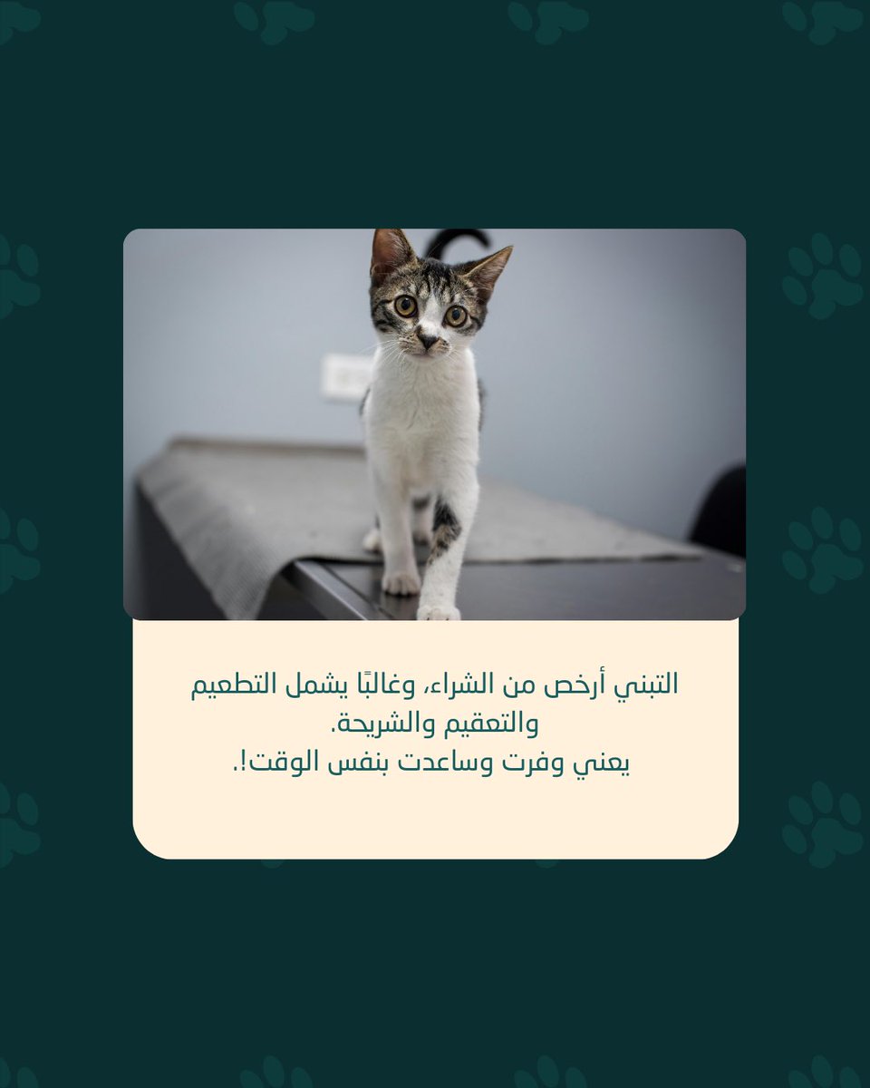 أبــدان tweet media