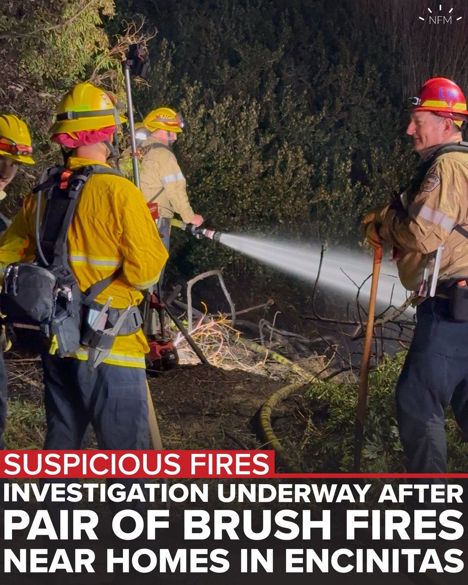 News Flash Media tweet media