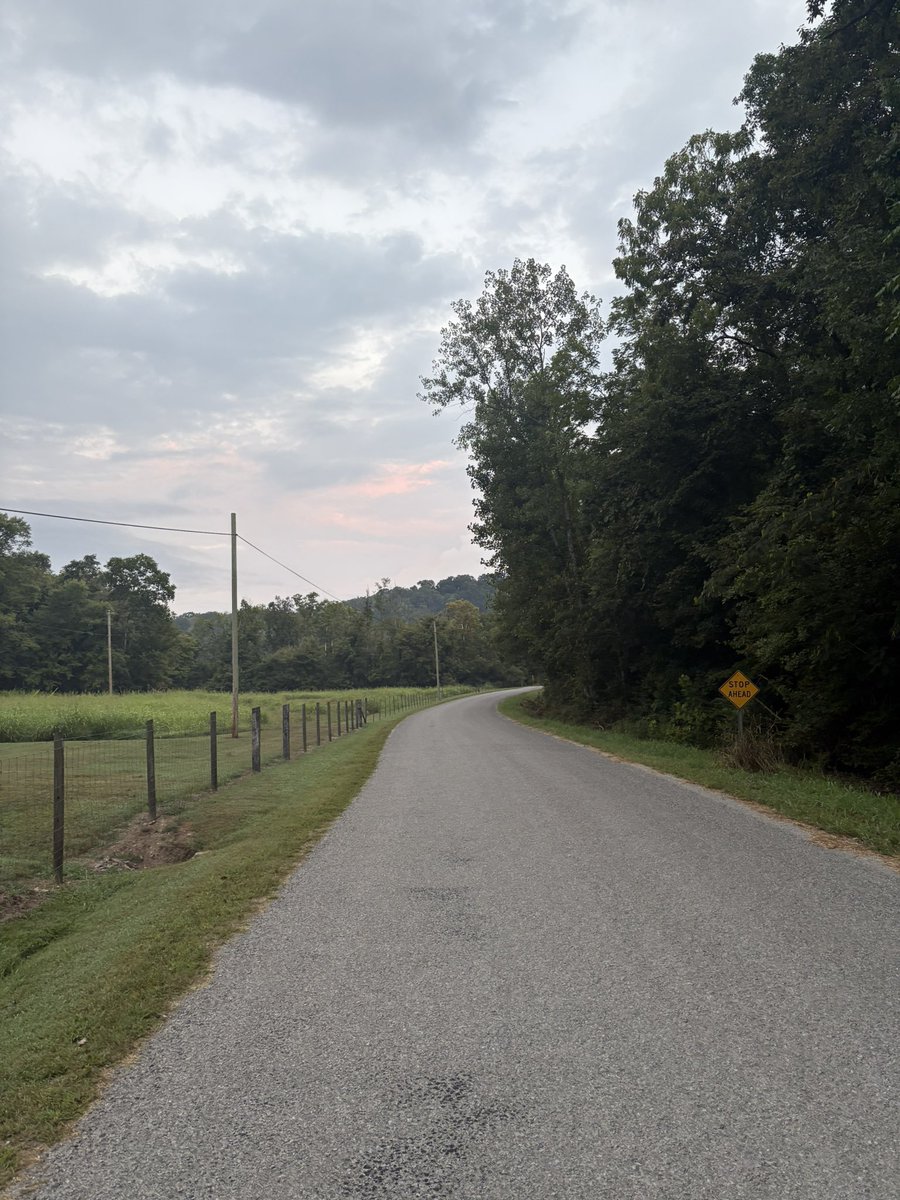 Early morning walk here in MuleTown. Feels like football weather.