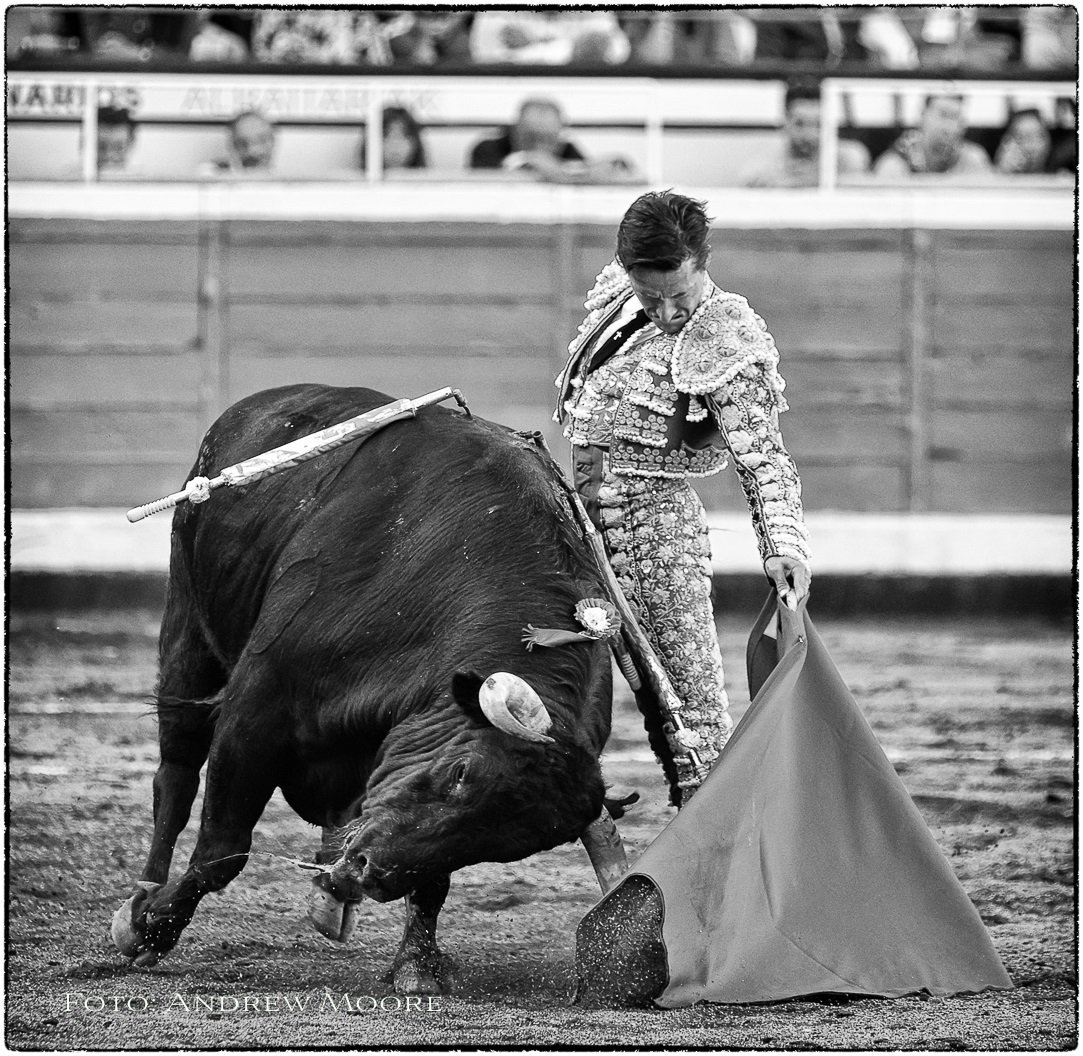 SR Ed. (@eduelsanta) on Twitter photo 