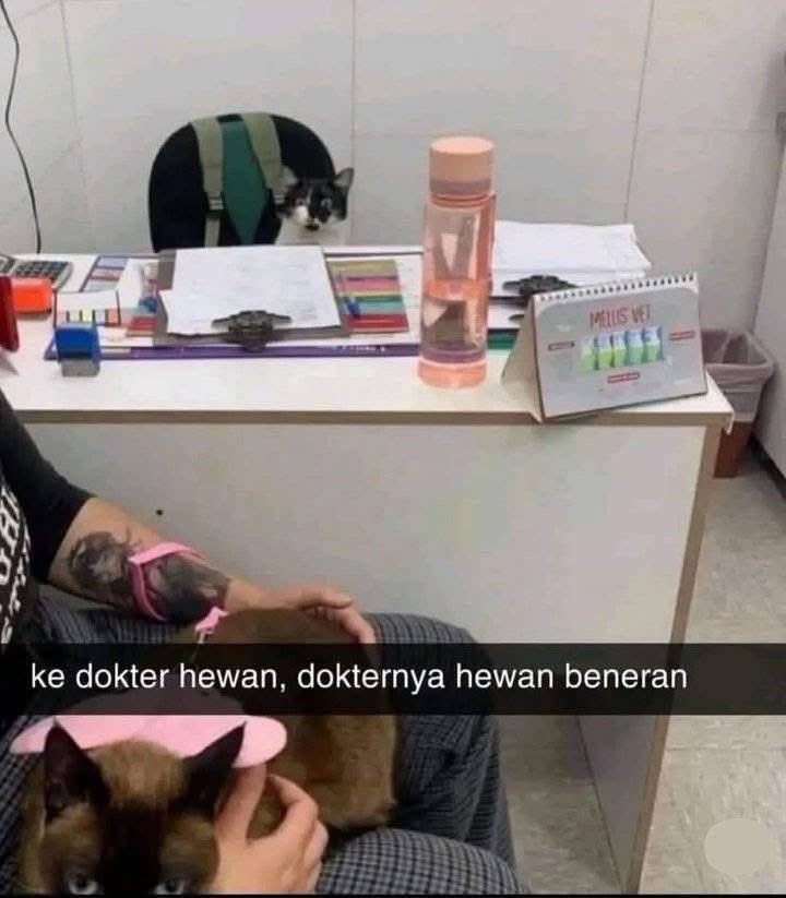 KOS (Komunitas Orang Sinting) (@qrivasi) on Twitter photo 