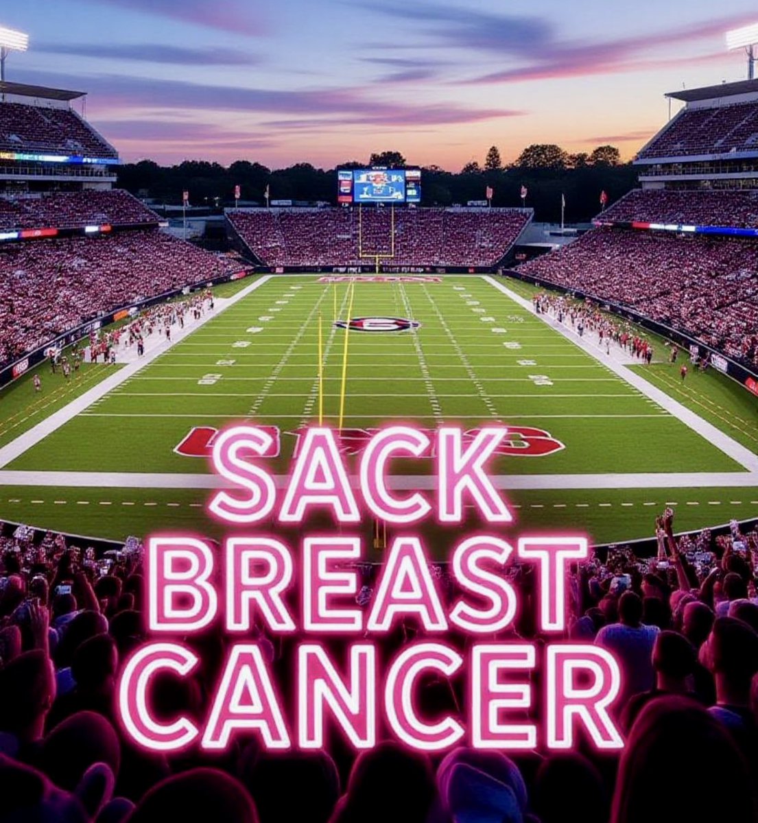 Bulldogs Battling Breast Cancer🐶🎗💖 tweet media