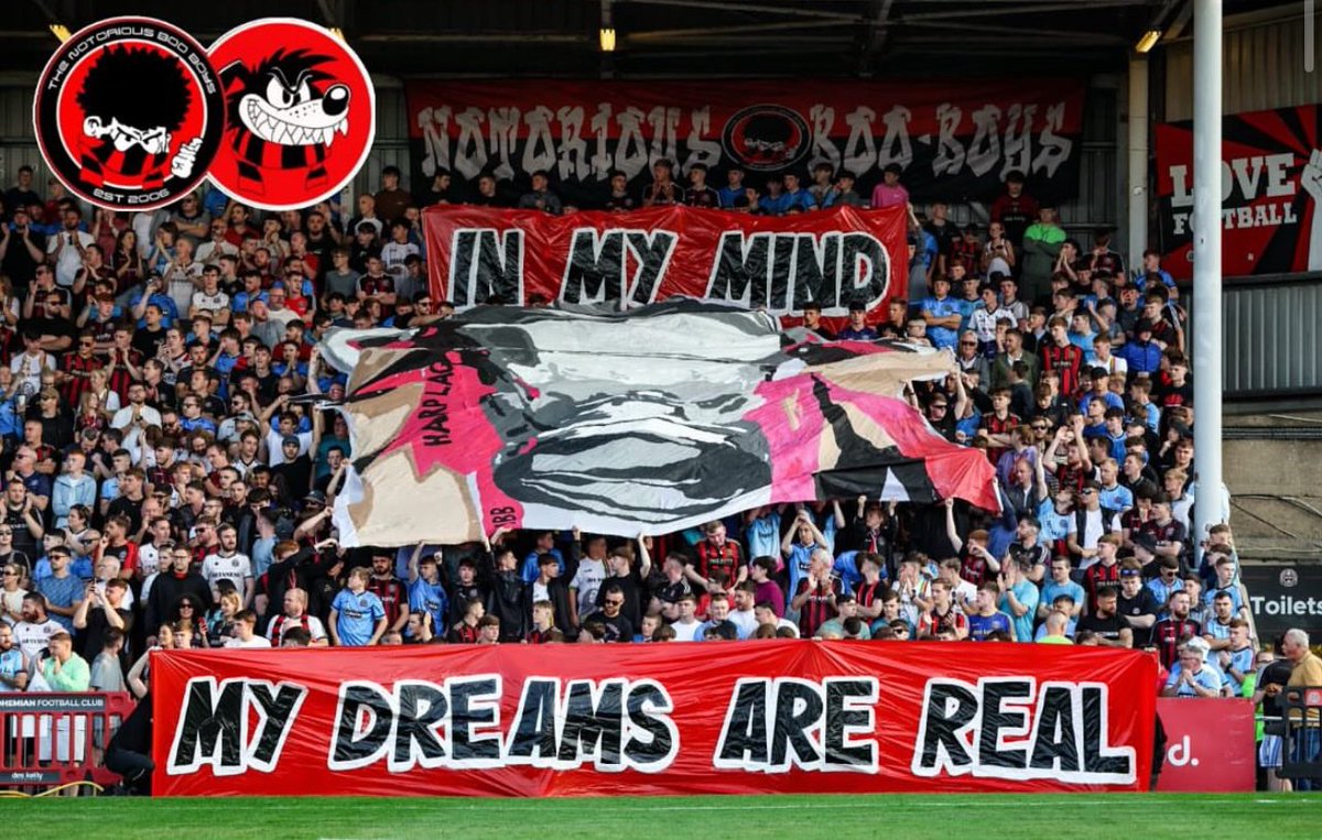 Nothing but quality over the last couple of weeks. 

Up the good guys. 

<a href="/NBBDublin06/">Notorious Boo Boys</a>