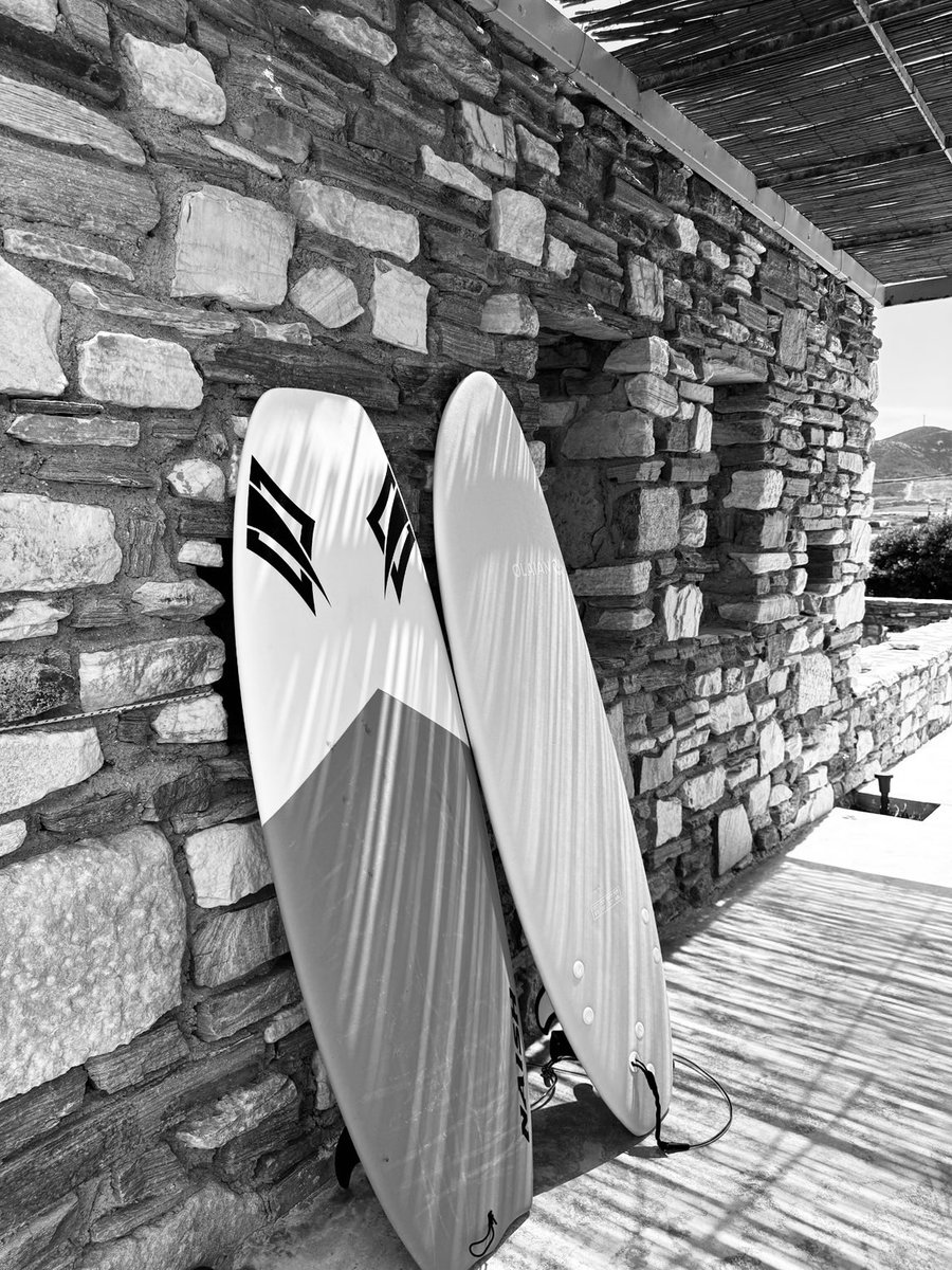 sunflower (@chr90688) on Twitter photo 