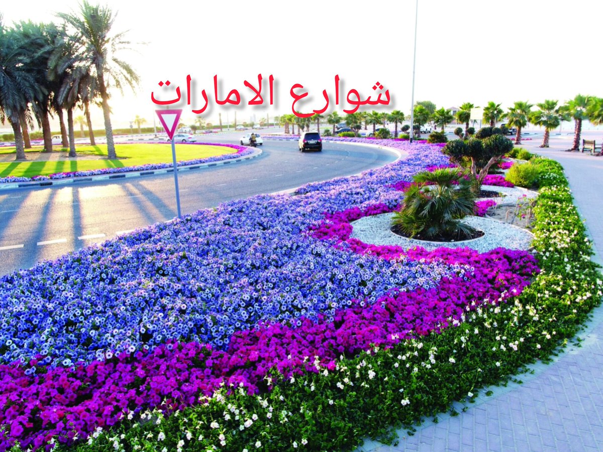 مفاراقات بين الحكم السني والحكم الشيىعي 

شوارع دبي وشوارع بغداد