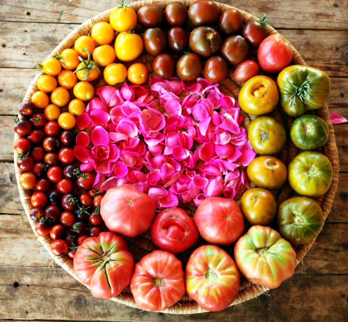 أماني البعيني | قانون "تنظيم تجارة البذور" في مخاضه الأخير: حقوق ملكيّة أم عبودية بذور؟

دقّ ناقوس الخطر مع إعادة إحياء اقتراح قانون تنظيم تجارة البذور. كيف يهدّد السيادة على الغذاء والزراعة الإيكولوجية ويهمّش المزارعين وينسف القدرة على مواجهة الأمراض والتغيرات المناخية؟
وما