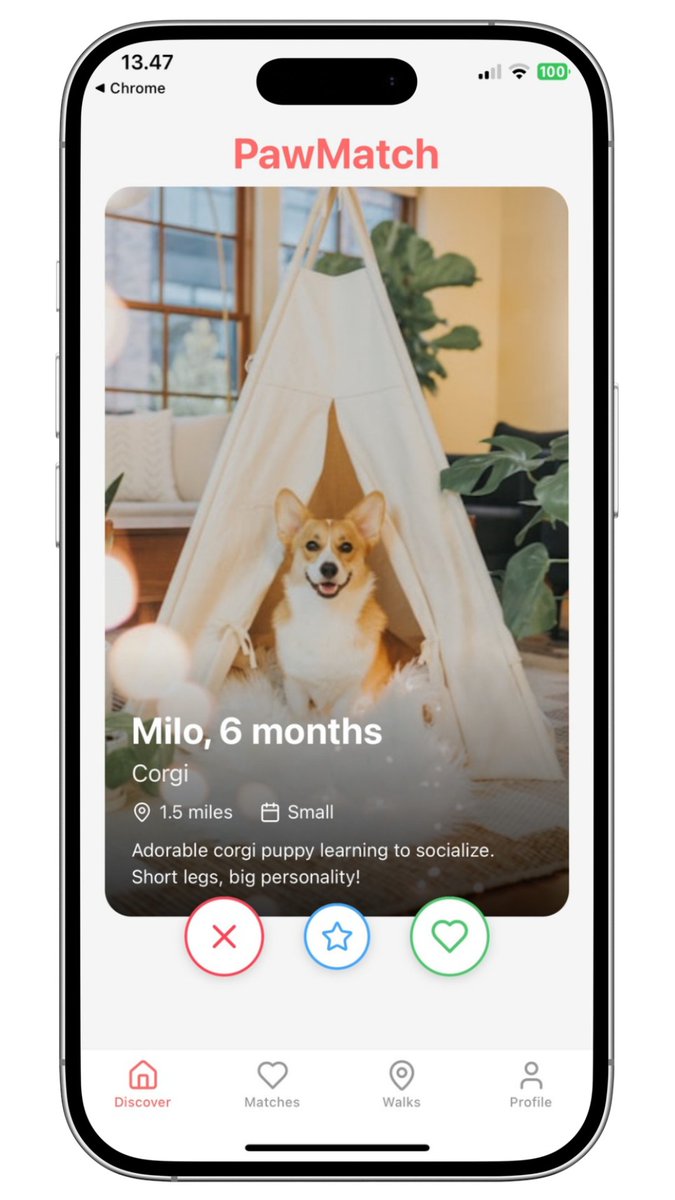 Wagadogy Inu tweet media