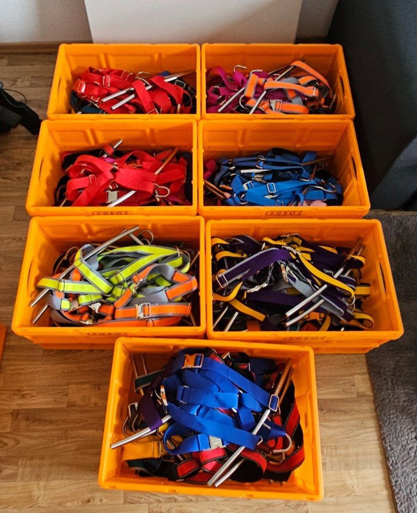 SkippCreation tweet media