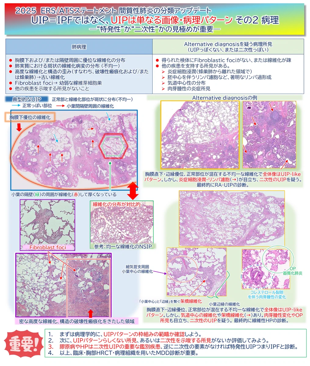 GzCMkYpasAAI-H9?format=webp&