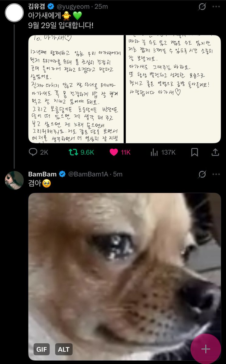 my family 🥹💚

🌴 go and come back safely💚
🐍 gyeom-ah🥹

#Yugyeom #유겸 <a href="/yugyeom/">김유겸</a> #GOT7