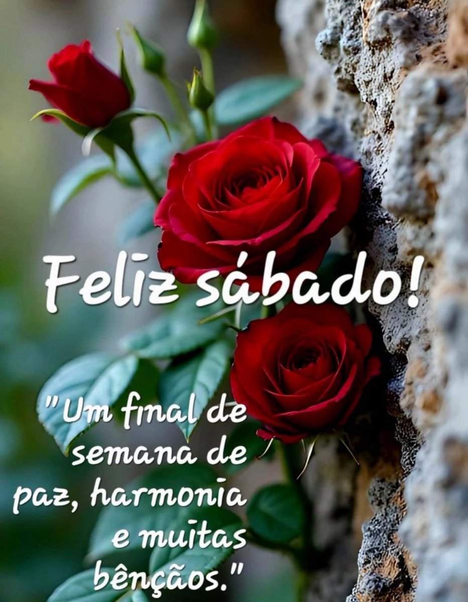 Bom dia meus amores 🙏🙏🥰🥰🌺🌺❤️❤️🌸🌸💕💕🌹🌹🥰🥰👏👏👏👏
