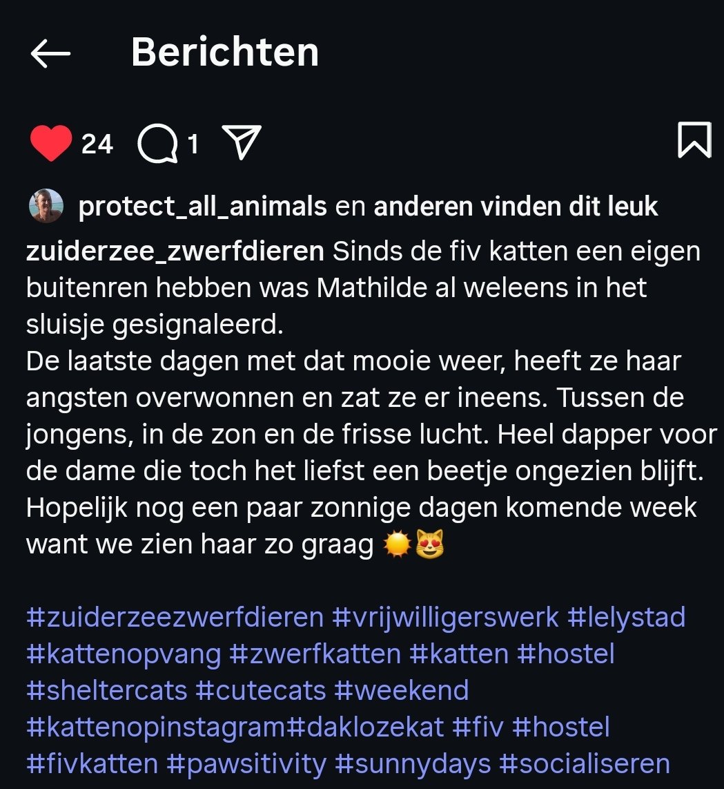 Mooie, lieve Mathilde ❤
Dit dappere dametje maakt steeds meer stapjes om haar angsten te overwinnen!
Maar in een eigen huisje zal dit proces veel sneller gaan

Interesse? Klik voor meer informatie op deze link:
zuiderzeezwerfdieren.nl/katten/mathild…

Delen is ook helpen ❤

#AdoptDontShop