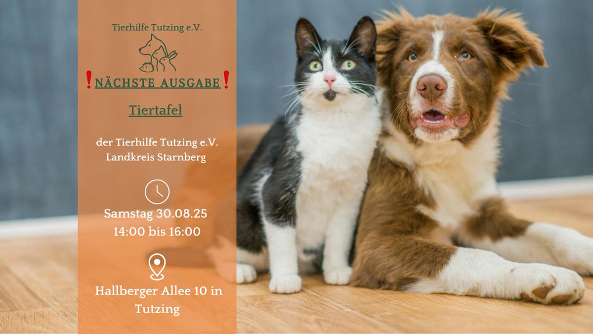 Es ist wieder so weit. Die Tutzinger Tiertafel verteilt wieder Futter und Co für Bedürftige.
30.08 von 14 bis 16 Uhr in Tutzing.
Gerne im Landkreis Starnberg teilen.
<a href="/SZ_Bayern/">SZ Bayern</a> <a href="/stamerkur/">Starnberger Merkur</a> <a href="/Starnbergersee/">Starnberger See</a>