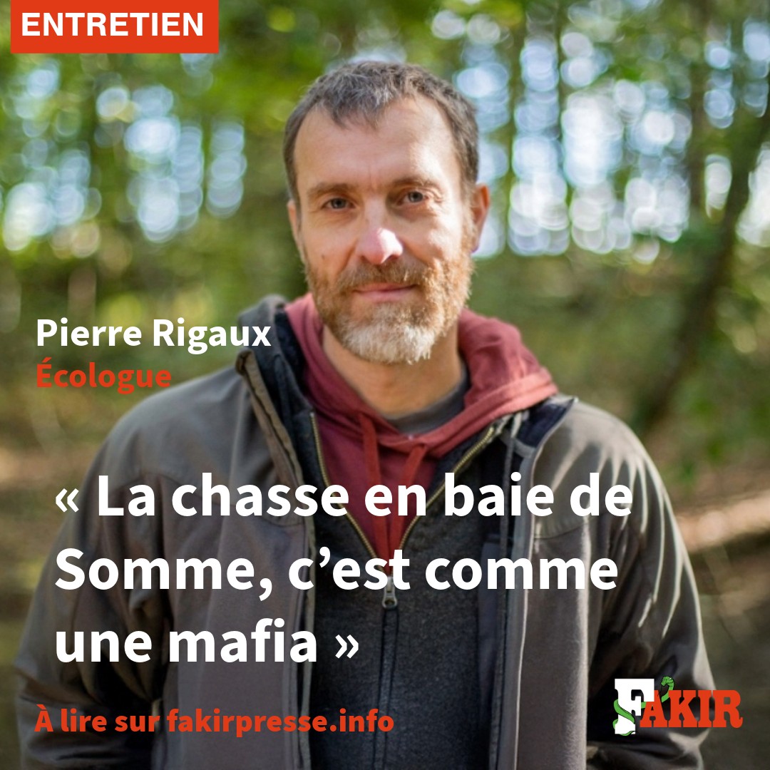 ChasseAbolition's tweet image. Pierre Rigaux : « La #chasse en #baiedeSomme, c'est comme une #mafia »

facebook.com/photo/?fbid=12…