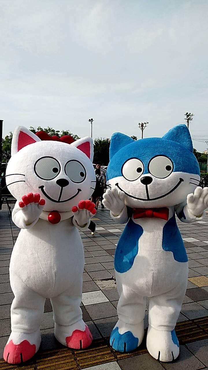 ⭐︎ランランページひ⭐︎のびねこ他⑥ 桜野カレン on X: 