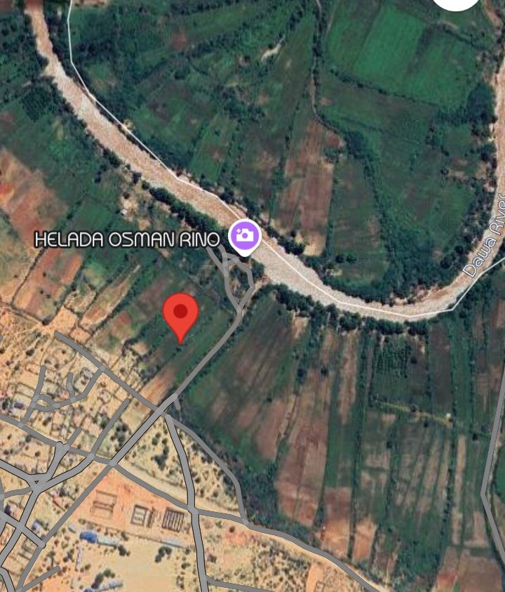 Sholla Ard 🇰🇪 tweet media