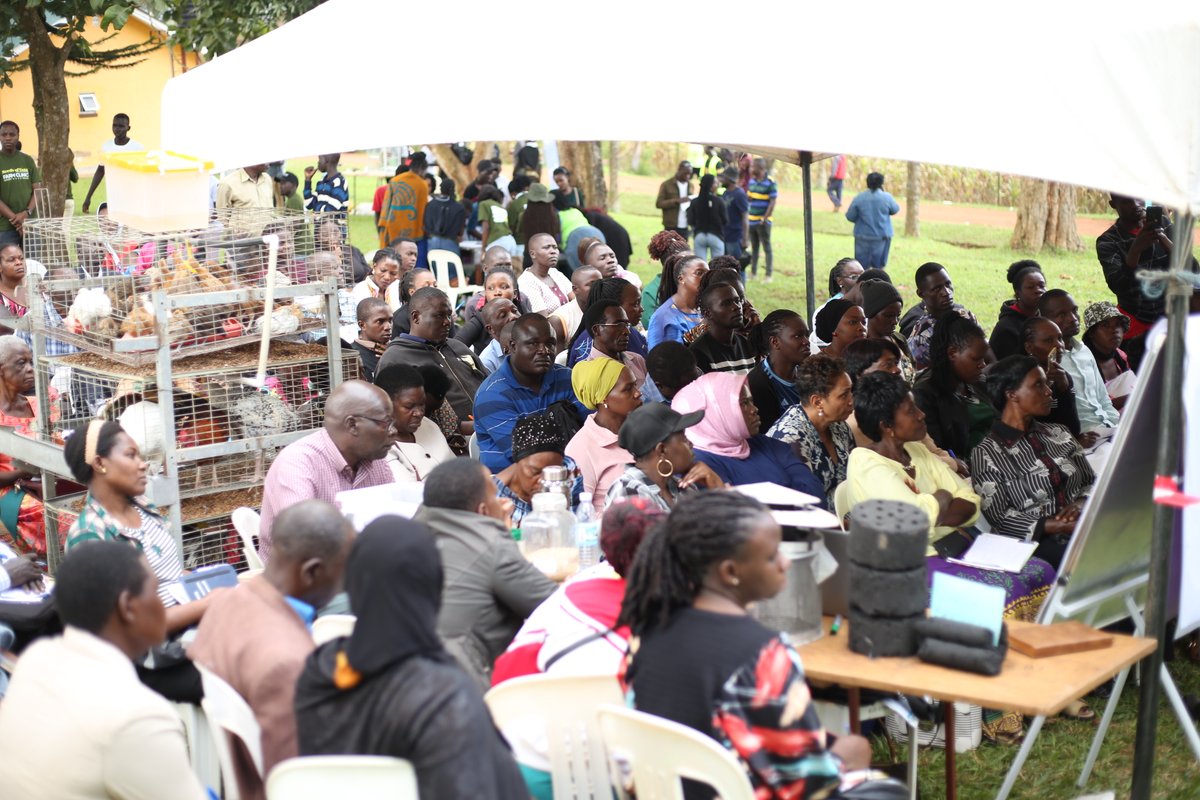 NARO_MUZARDI tweet media