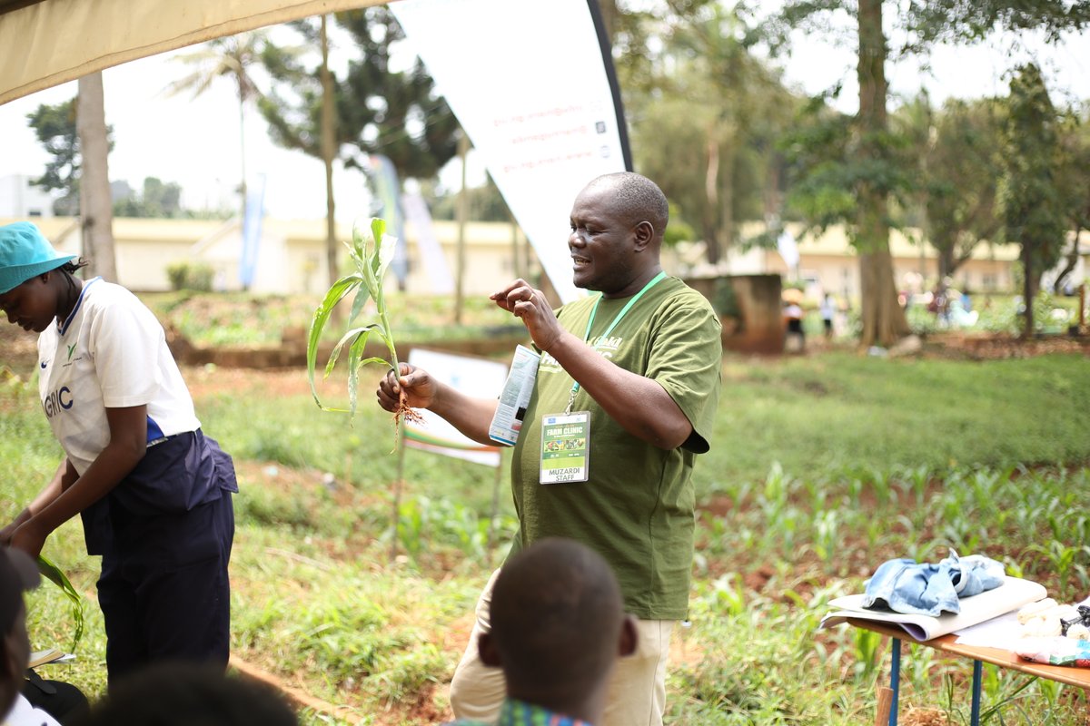 NARO_MUZARDI tweet media