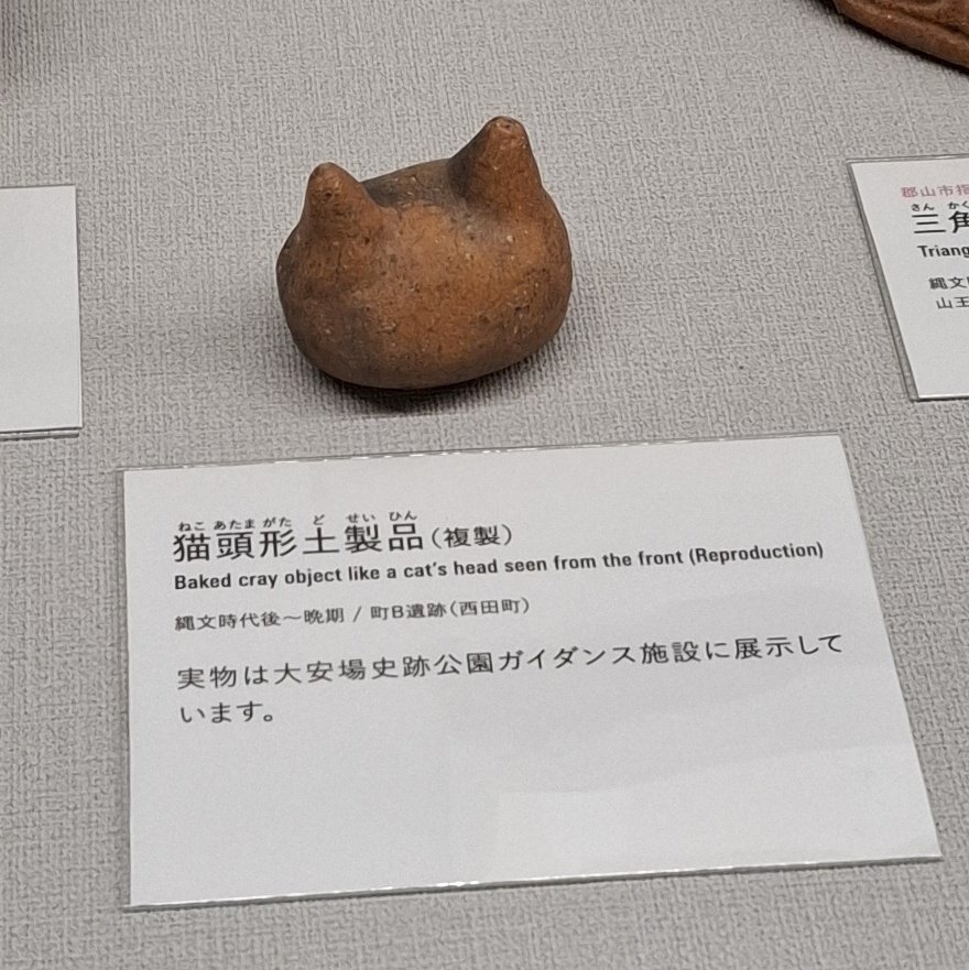 埋木 (@umoregi01) on Twitter photo 縄文の にゃーん 縄文の にゃーん